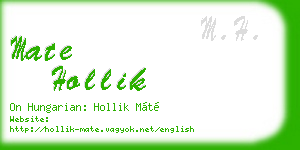 mate hollik business card