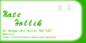 mate hollik business card